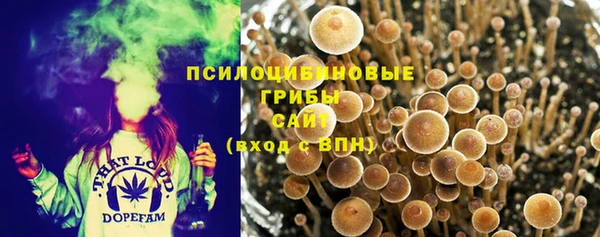 каннабис Армянск