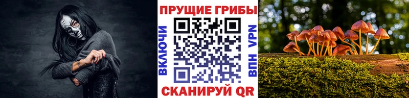 Псилоцибиновые грибы ЛСД  купить  сайты  Людиново 